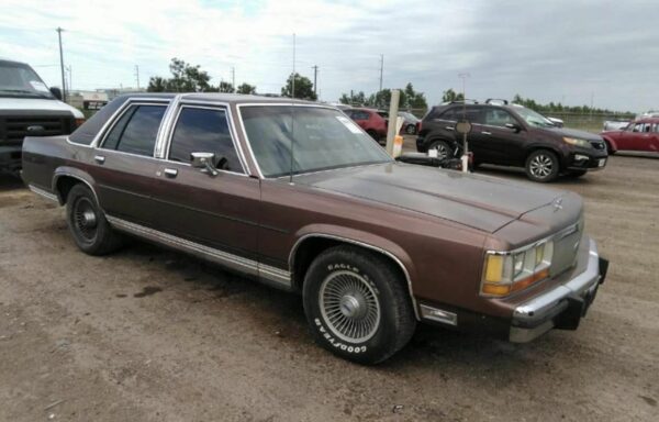 Ford Crown Victoria (1989)